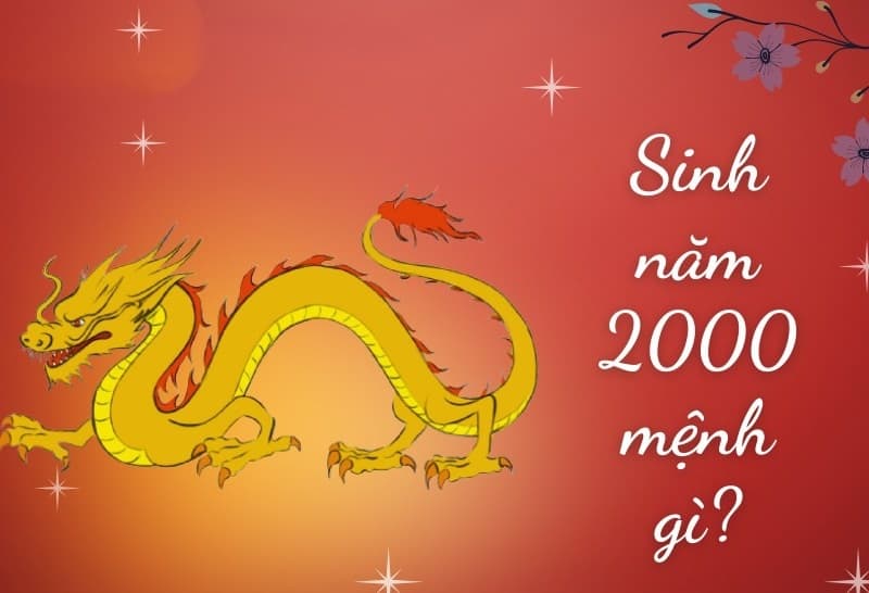 Tìm hiểu về nam mạng 2000