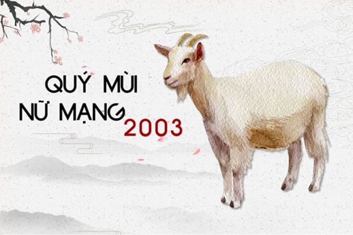 Tổng quan về người sinh năm 2003