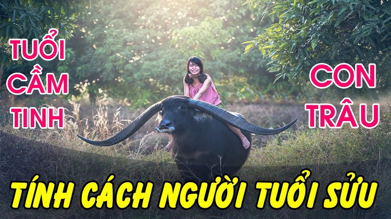 Tính cách của người tuổi Sửu