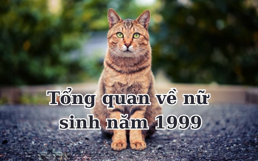 Tổng quan nữ sinh năm 1999