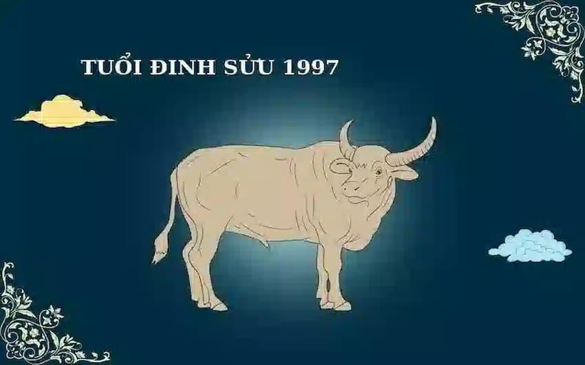 Tổng quan về nam sinh năm 1997