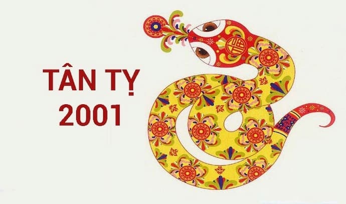 Tổng quan về nữ sinh năm 2001