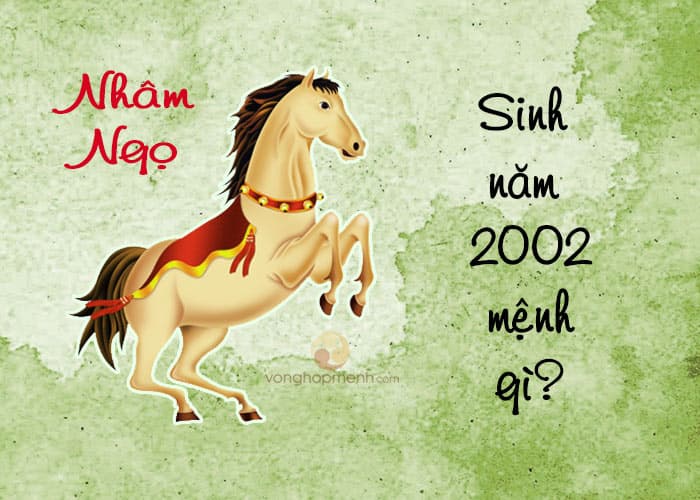 Tổng quan nữ sinh năm 2002