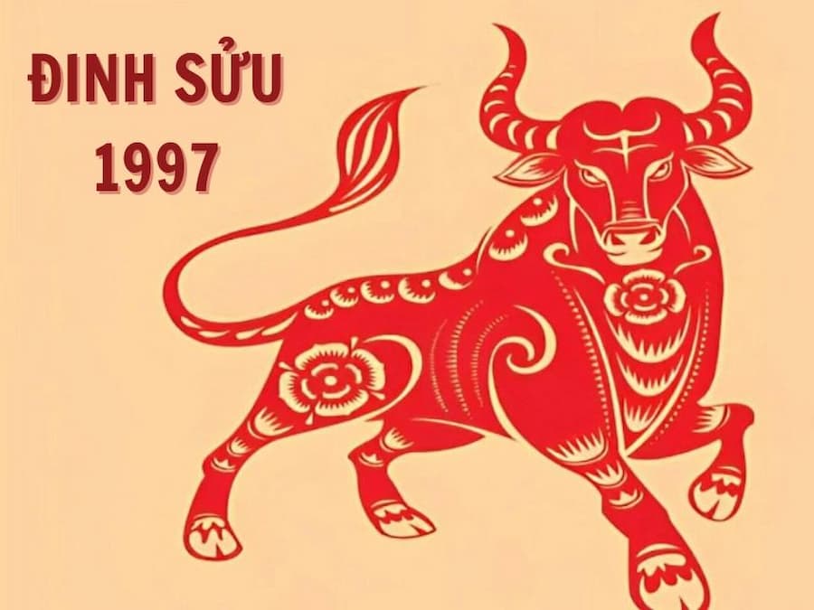 Tổng quan nữ sinh 1997