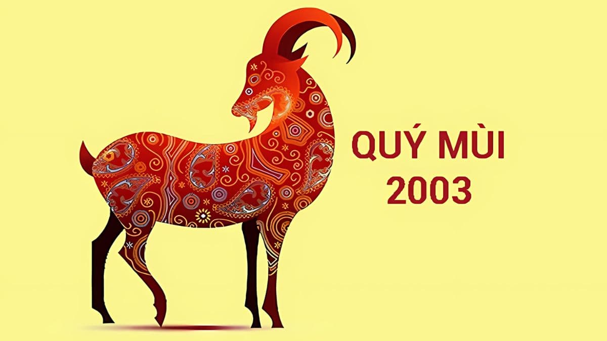 Tổng quan về người sinh năm 2003 và 2004