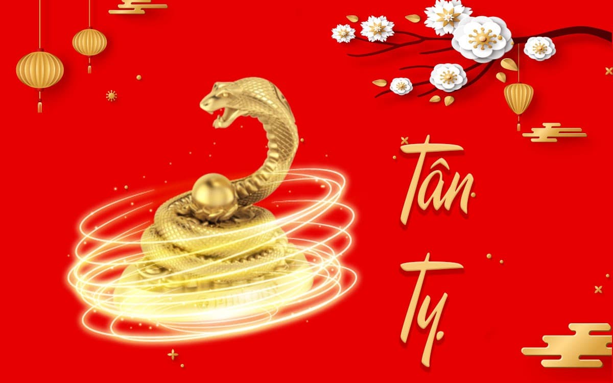 Tổng quan về nữ tuổi Tân Tỵ 2001