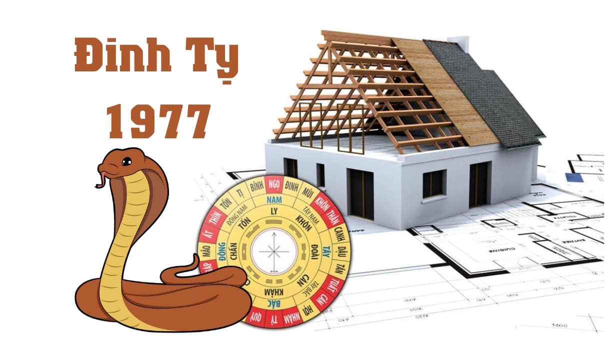 Đặc điểm về tính cách và đường công danh của tuổi Đinh Tỵ 1977