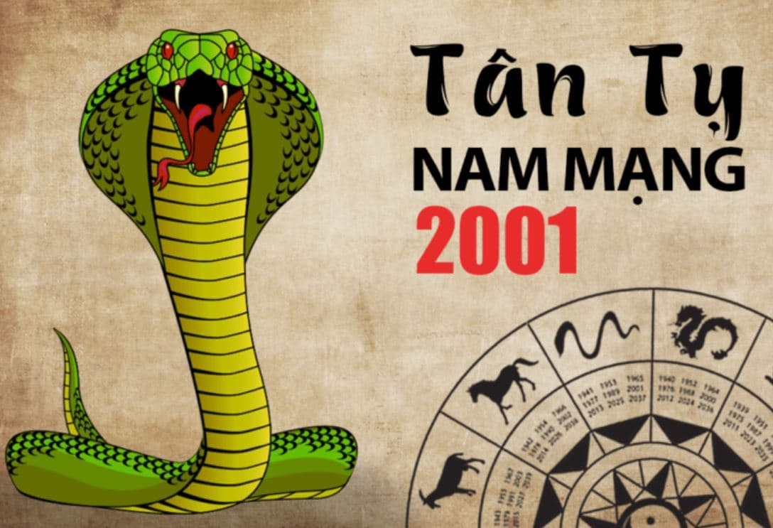 Nam 2001 hợp làm ăn với tuổi nào?