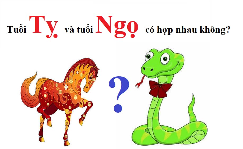 Nam 2002 Nữ 2001 Có Hợp Không? Phân Tích Mối Quan Hệ Theo Phong Thủy và Tử Vi