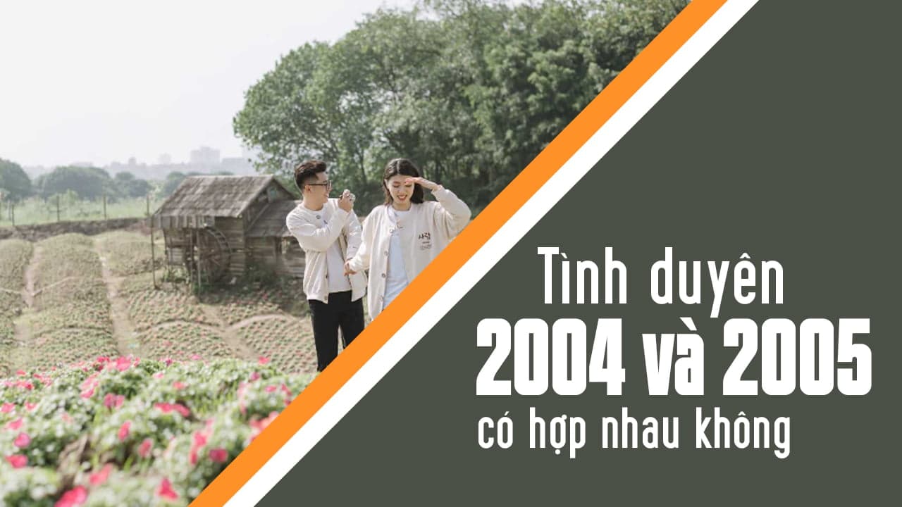 Giải đáp chi tiết thắc mắc 2004 với 2005 có hợp không