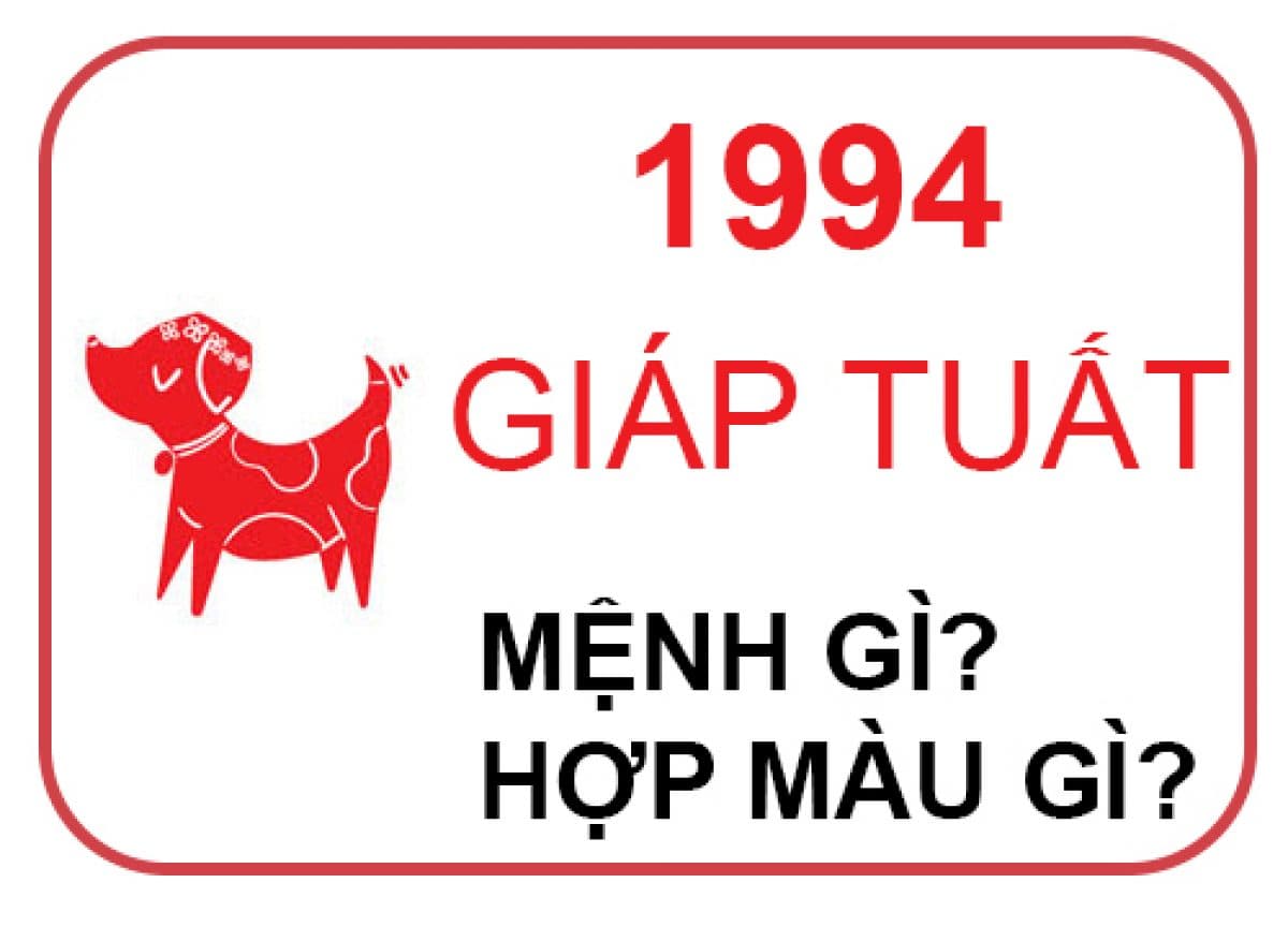 Tổng quan về năm sinh 1994 và 1997